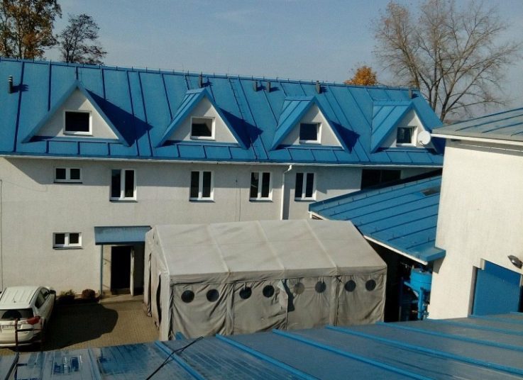 Malowanie dachu Borzęcin
